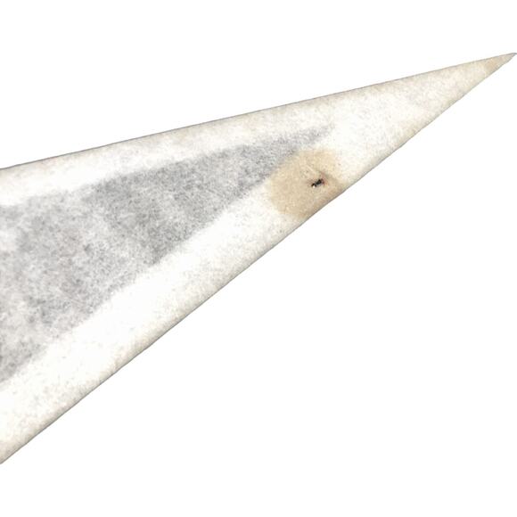 New England Patriots 2004 Super Bowl XXXVIII Champions Pennant - Picture 5 of 6